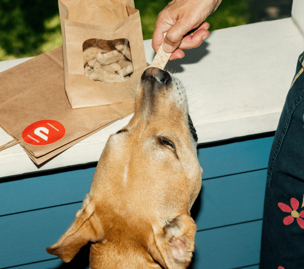 DoorDash Food Delivery TakeOut doordash-food-delivery-takeout